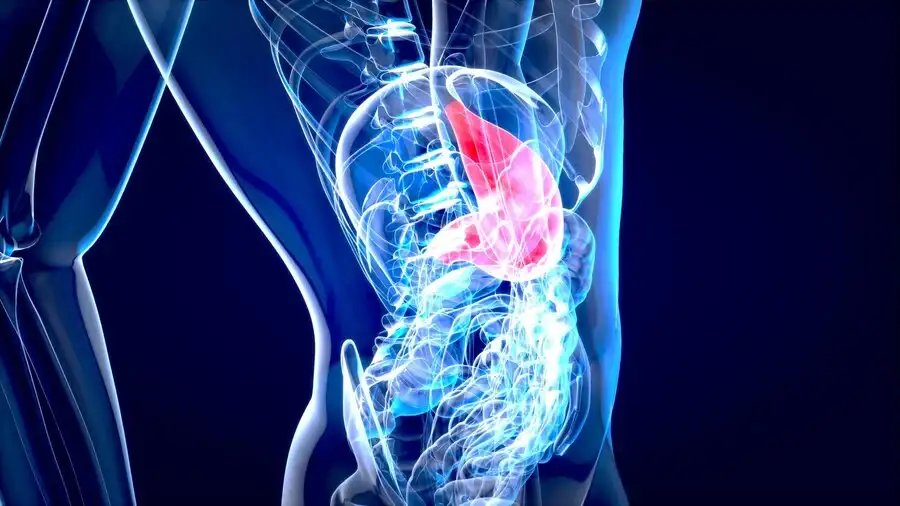 Gastrointestinal Oncology